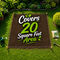 All Season Evergreen Grass Seeds (GSD2)