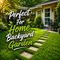 All Season Evergreen Grass Seeds (GSD2)