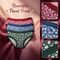 12 Multicolor Mid Rise Floral Printed Panties (12PS2)