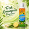Anti Mosquito & Flies Additive (CLG3)
