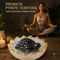 Premium Pyrite Tortoise With Selenite Energy Bowl (SJPT20)