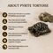 Premium Pyrite Tortoise With Selenite Energy Bowl (SJPT20)
