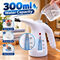 2 In 1 Handheld Garment Steamer (EA5)