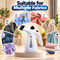 2 In 1 Handheld Garment Steamer (EA5)