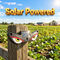 Solar Rechargeable Animal Repellent Light (LL83)
