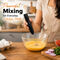 Portable Handheld Frother Set (PD22)