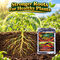Agro Growth Booster For Plant Fruit & Vegetable (GDN5)