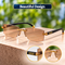 Rimless Bifocal Coloured Adaptive Power Reading Glasses Buy 1 Get 3 Free (4BOC6RG33)