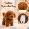 Walking and Jumping Puppy Toy (AST)