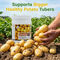 Potato Crop Special Multi Micronutrient Agro Fertilizer (AGR1)