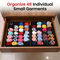 Wardrobe Organizer Pack of 2 (4CC)