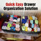 Wardrobe Organizer Pack of 2 (4CC)