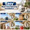 Heavy Duty Stainless Steel Rope Pulley (HT217)