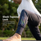 Pack of 3 Comfortable Joggers For Mens (3SPT27)