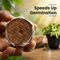 Magic Expanding Coconut Soil Disc Pack of 3 (GDN6)