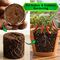Magic Expanding Coconut Soil Disc Pack of 3 (GDN6)