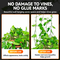 Plant Climbing Wall Organiser Clips Pack of 30 (GDN8)