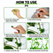Plant Climbing Wall Organiser Clips Pack of 30 (GDN8)