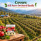 Apple Special Micronutrient Fertilizer (AGR3)