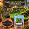 Magic Aqua Grass Seeds For Fish Bowl (GDN12)