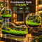 Magic Aqua Grass Seeds For Fish Bowl (GDN12)