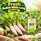 5-In-1 Superfood Vegetable Seeds Combo For Home Garden (GDN16)