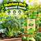 5-In-1 Superfood Vegetable Seeds Combo For Home Garden (GDN16)