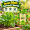 5-In-1 Superfood Vegetable Seeds Combo For Home Garden (GDN16)