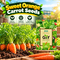 5-In-1 Superfood Vegetable Seeds Combo For Home Garden (GDN16)