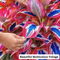 Hosta Flower Hybrid Seeds For Home Garden (GDN22)