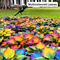 Hosta Flower Hybrid Seeds For Home Garden (GDN22)