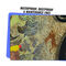 Door Sticker (3DS1)