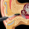 Ear Wax Cleaner with Camera (EDC3)