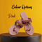 Pick Any One Ladies Sandal (LS8)