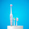 Electric Toothbrush With 3 Brush Heads (RTB5)