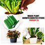 Plant Growth Booster Sticks Pack Of 25 (PFS)