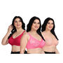Pack Of 3 Full Coverage Daily Wear Bust Support Net Bra - Plus Size Only (3FCB2)