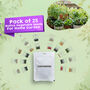 Pack of 25 Native Vegetable Seeds For Home Garden (VEG2)
