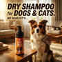 Dry Shampoo For Dogs & Cats (PETC6)