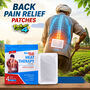 Back Pain Relief Patches (BPR13)