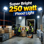 Super Bright 250 Watt Flood Light (LL68)
