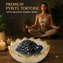 Premium Pyrite Tortoise With Selenite Energy Bowl (SJPT20)