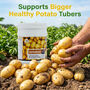 Potato Crop Special Multi Micronutrient Agro Fertilizer (AGR1)